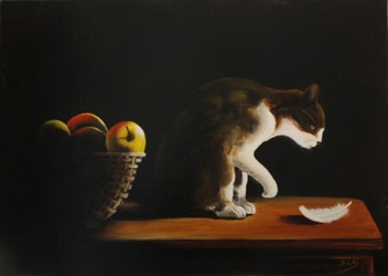 le chat et la plume.jpg